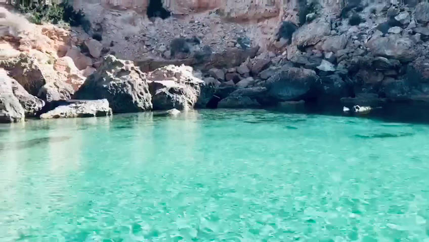 Dolphin Watching in Cala Tarida photo 3