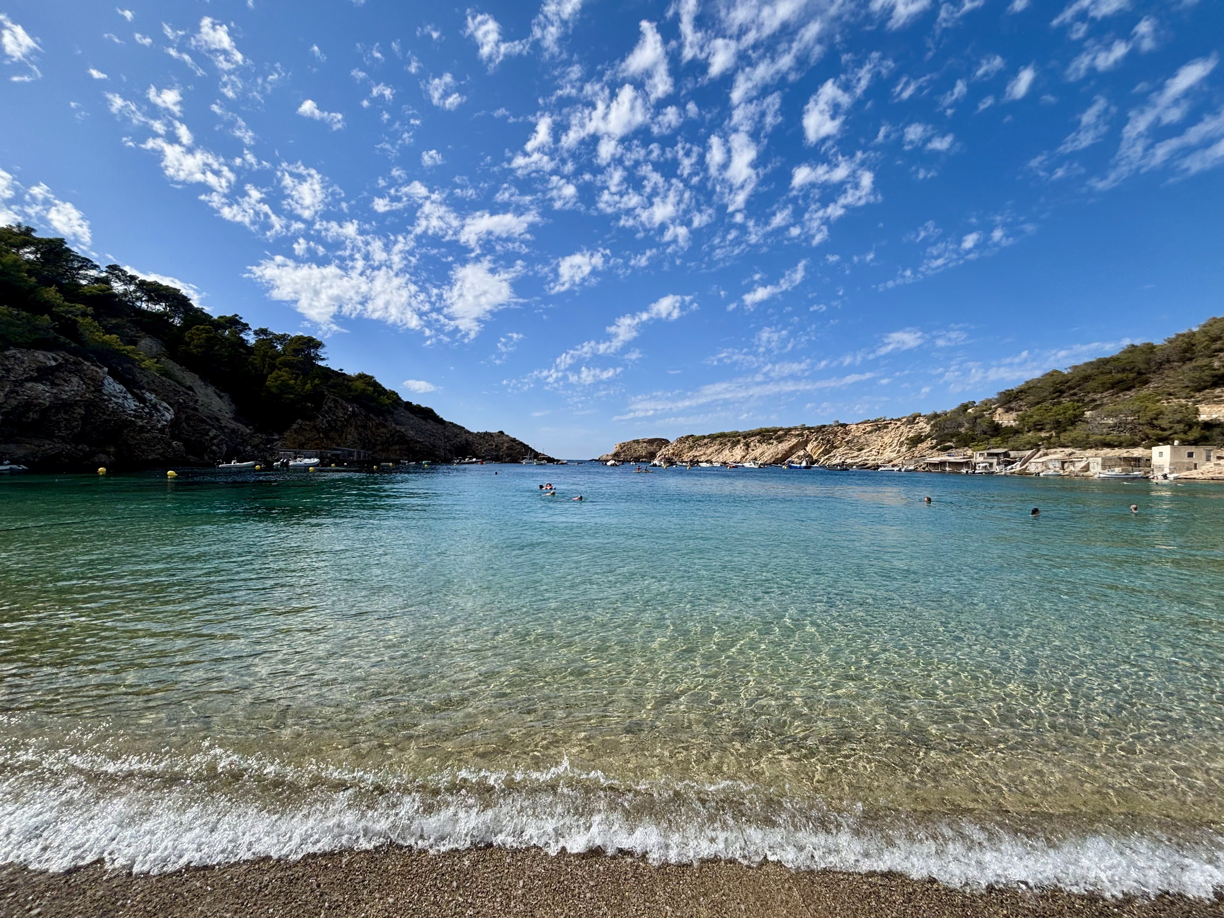 Whale Watching in Cala Vadella