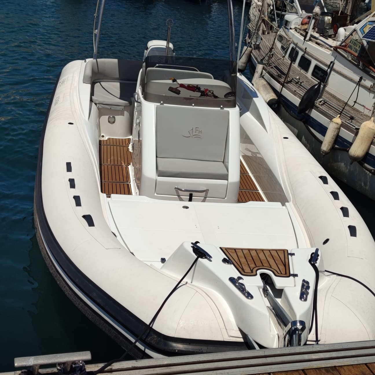 Dolphin Watching in Cala Vadella photo 3
