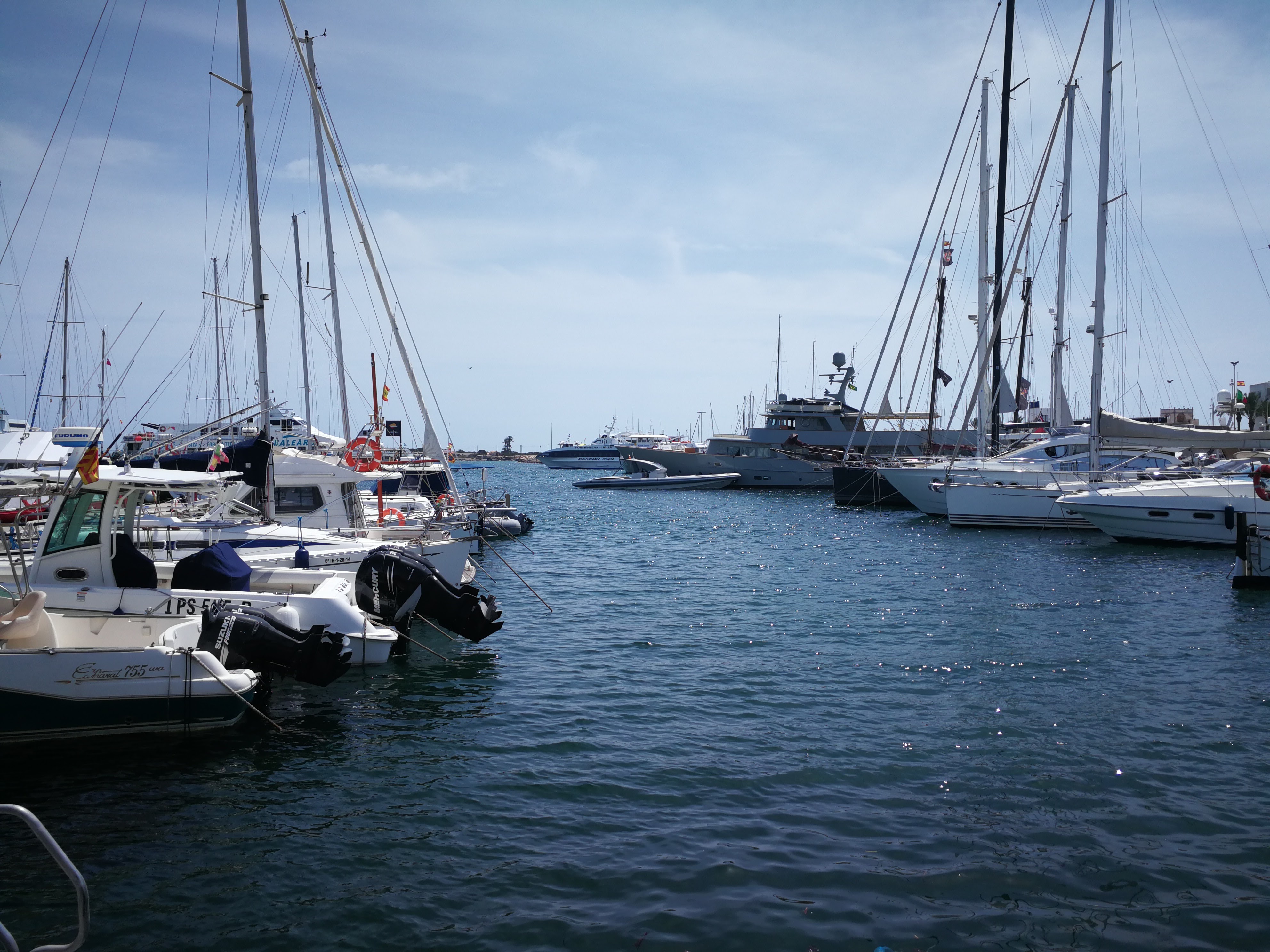 Freediving in La Savina photo 5
