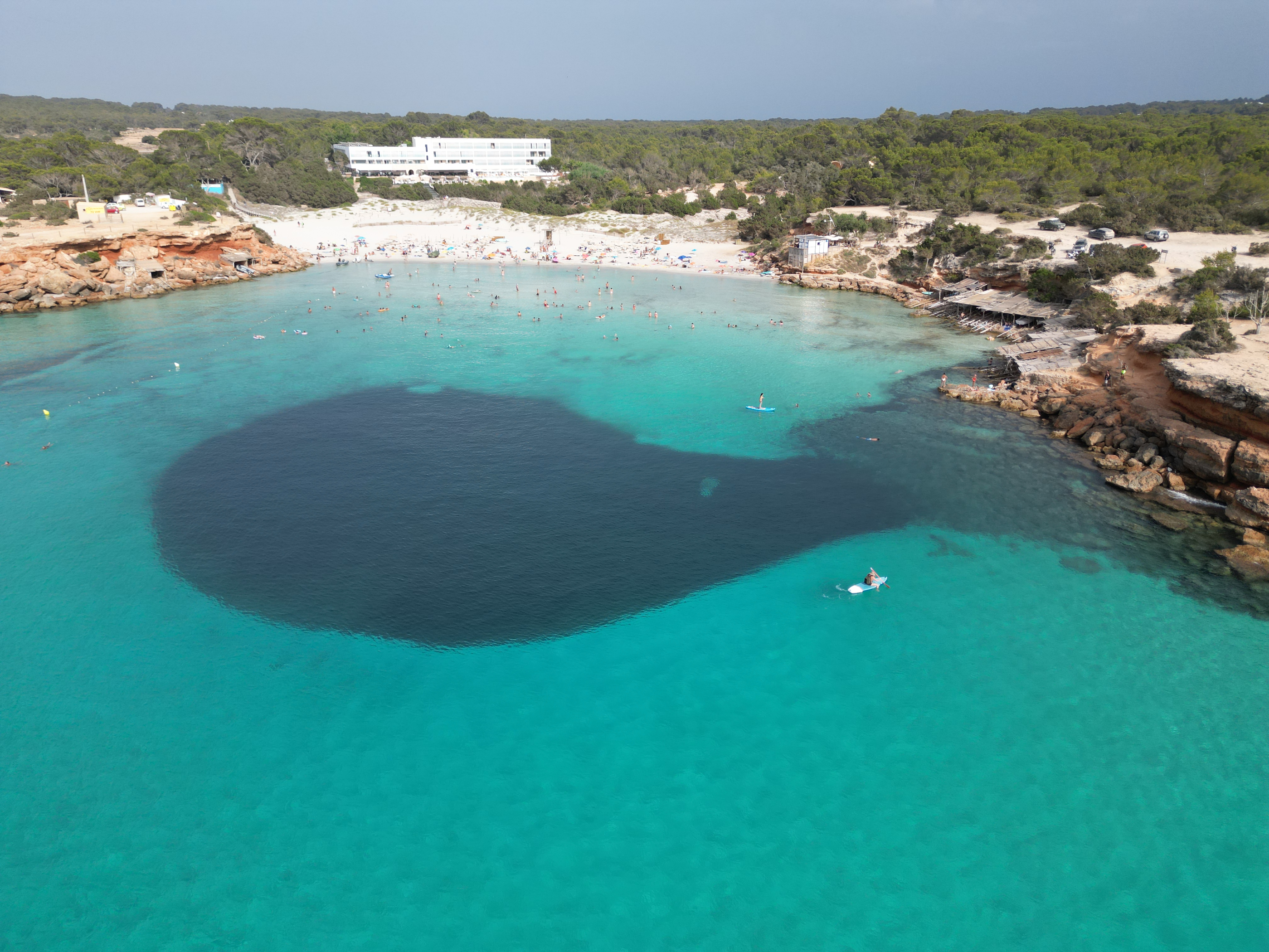 Snorkeling in Cala Saona photo 4