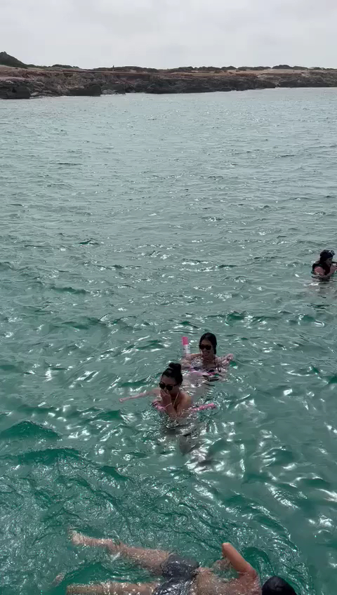 Dolphin Watching in Cala Saona photo 3