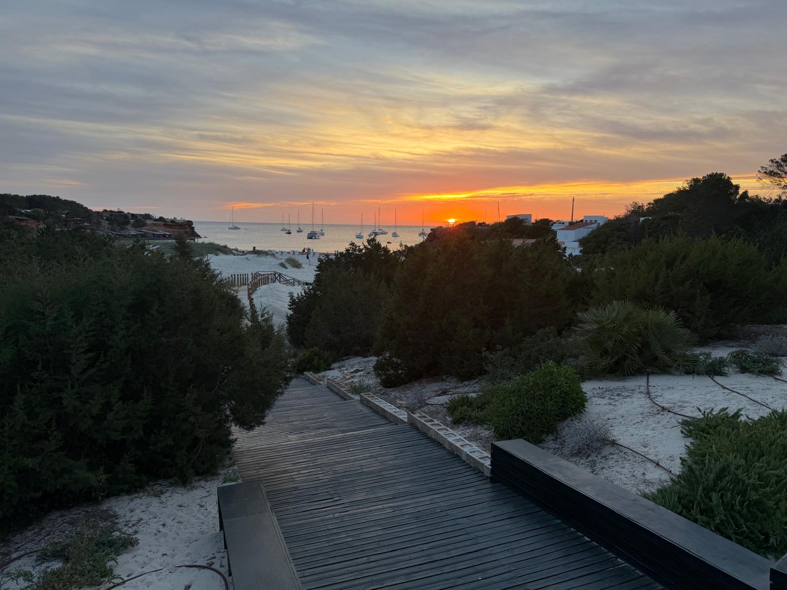 Cocktail Masterclass in Cala Saona photo 2