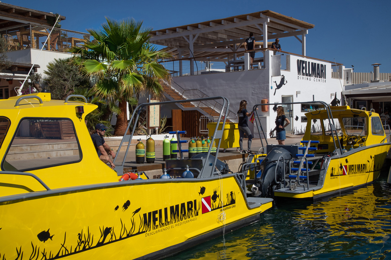 Freediving in Cala Saona photo 4