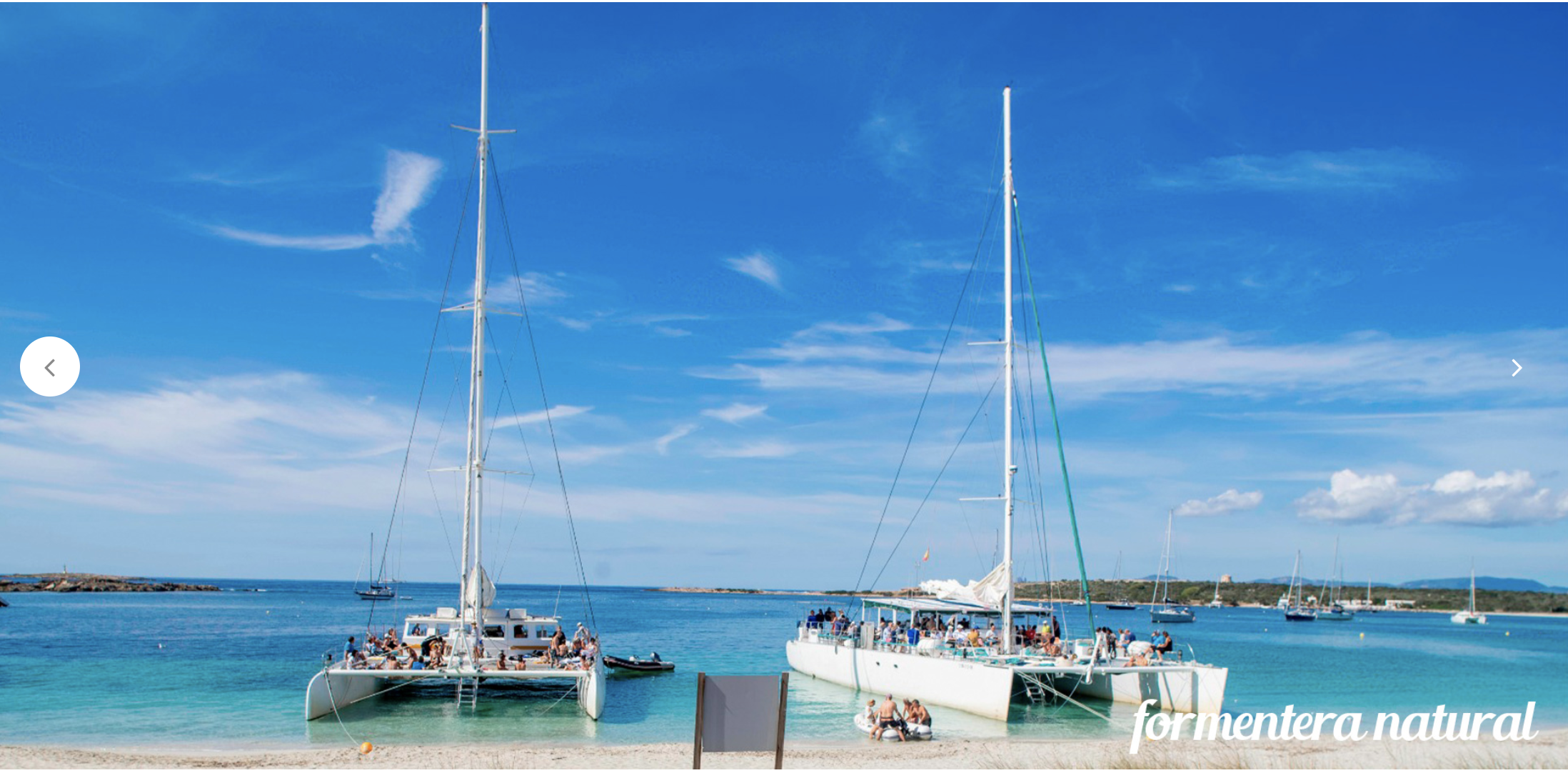 Whale Watching in La Savina photo 3