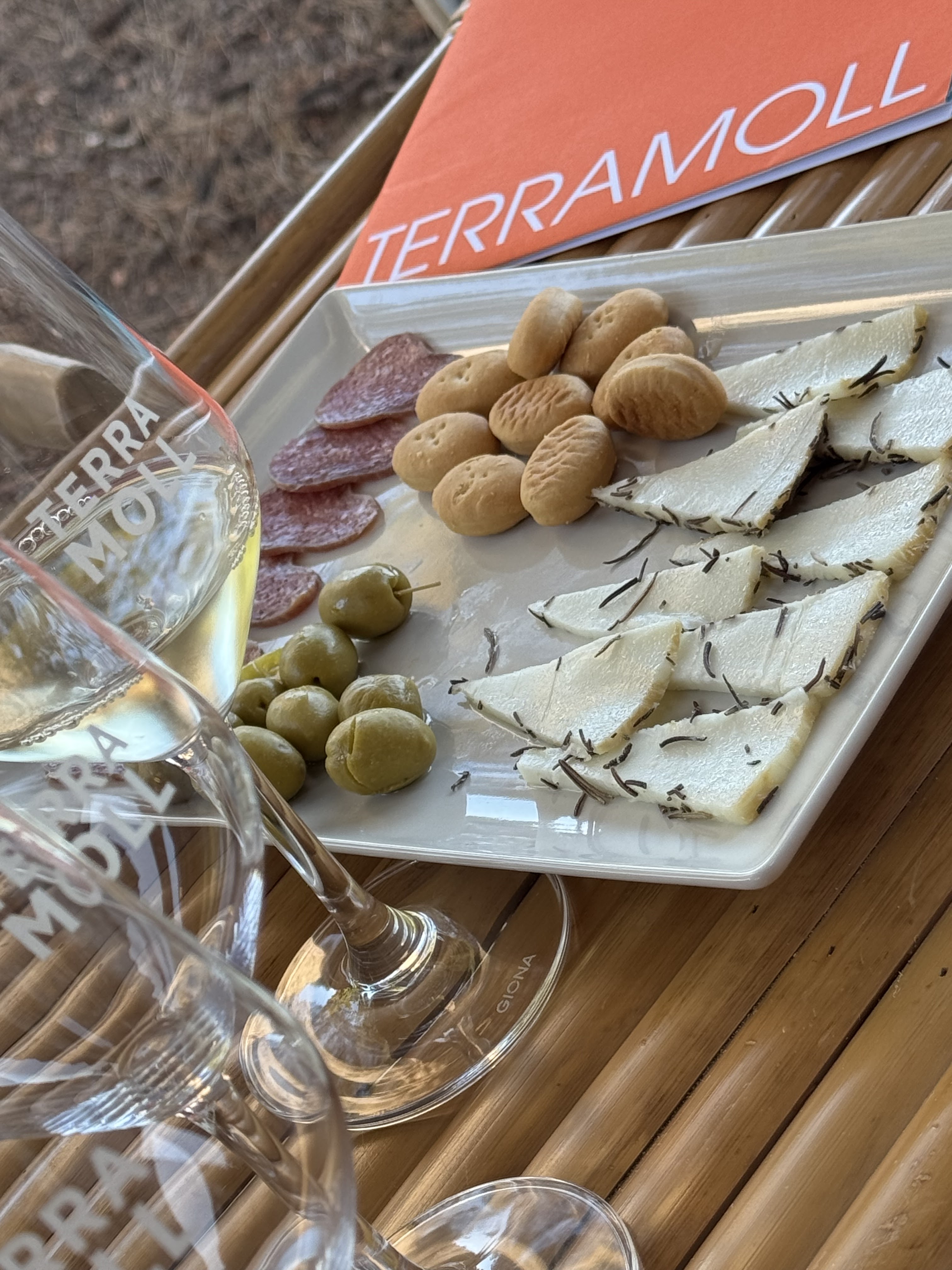 Wine Tasting in El Pilar de la Mola photo 2