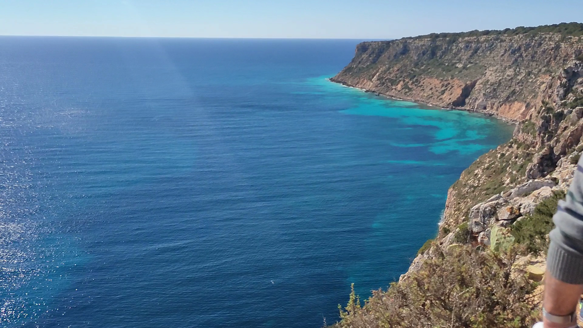 Dolphin Watching in El Pilar de la Mola photo 3