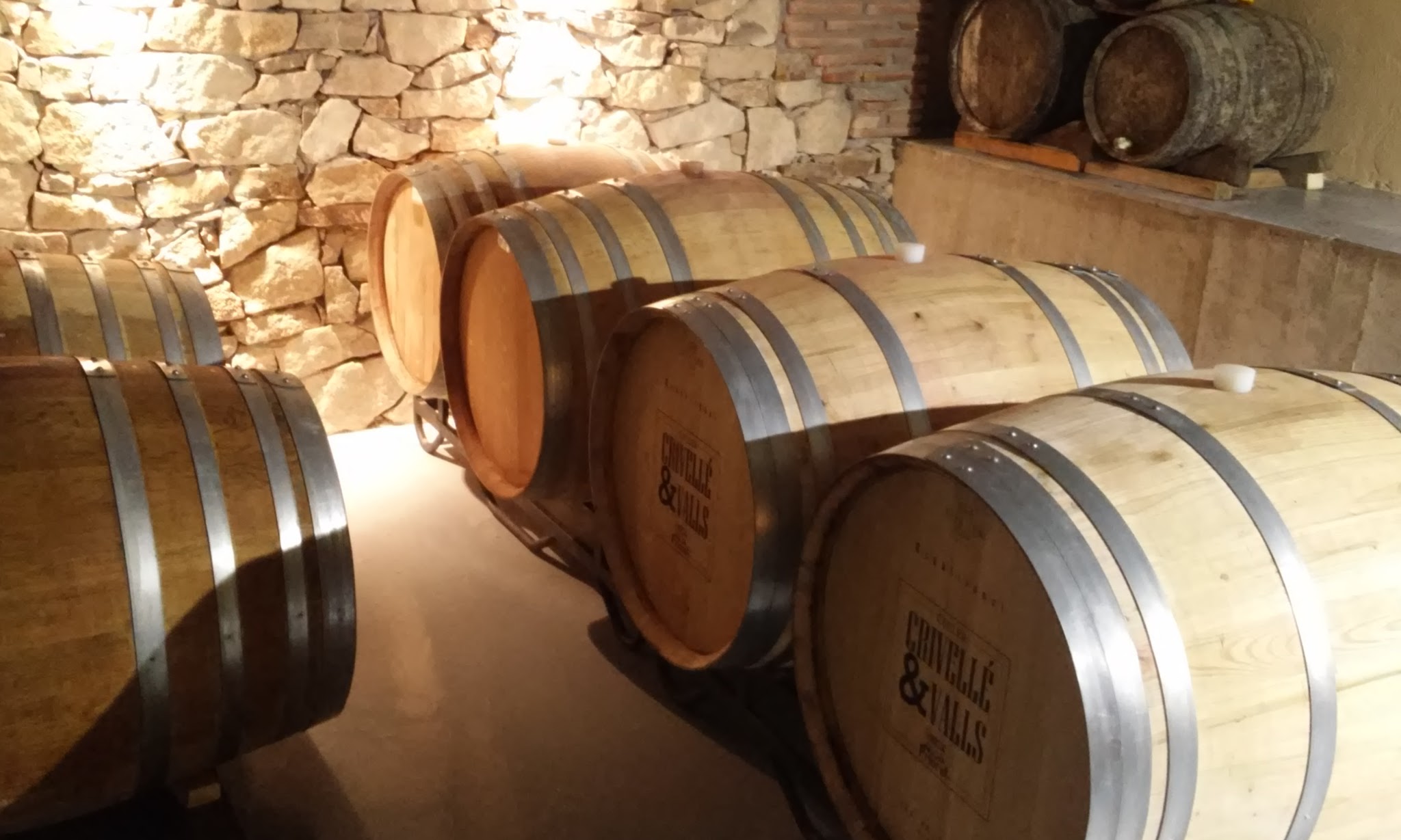 Wine Tasting in Sant Rafel photo 4