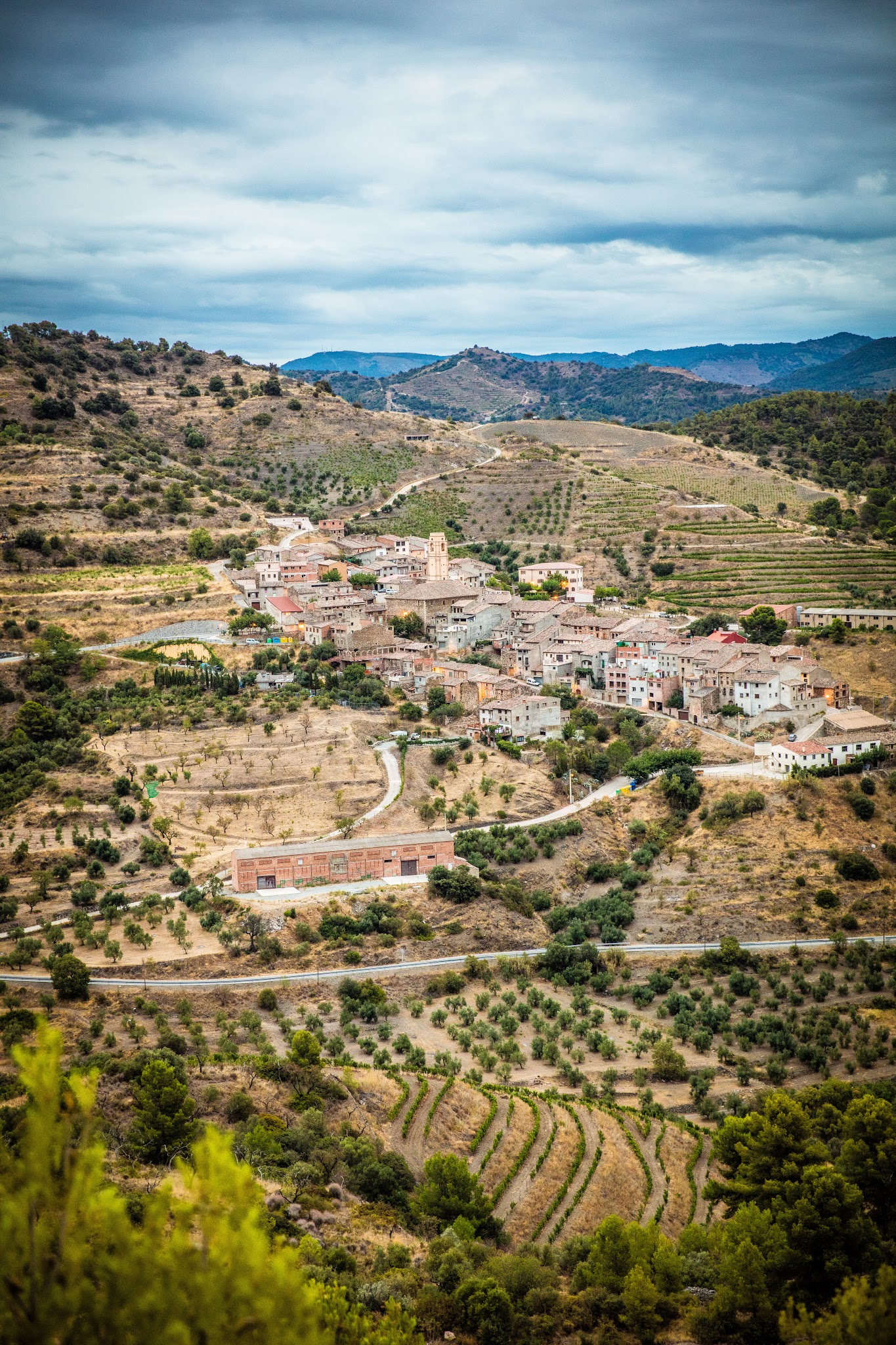 Wine Tasting in Sant Rafel photo 5