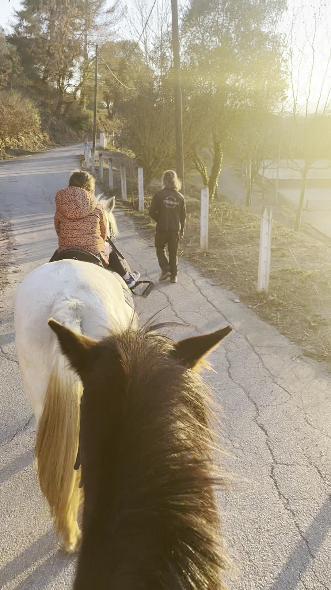 Horseback Riding in Talamanca photo 3