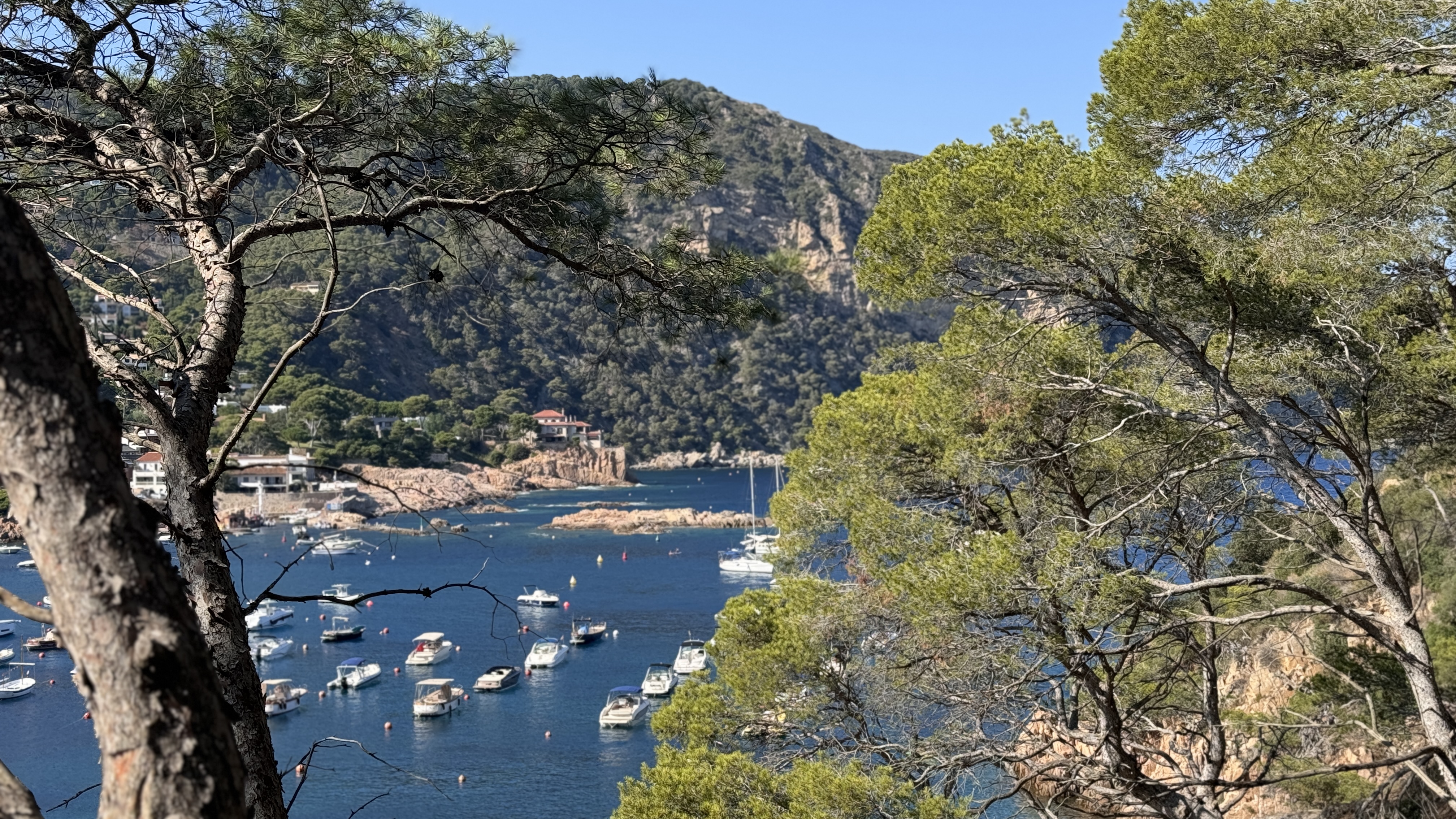 Kayaking & Paddleboarding in Cala Blava photo 4