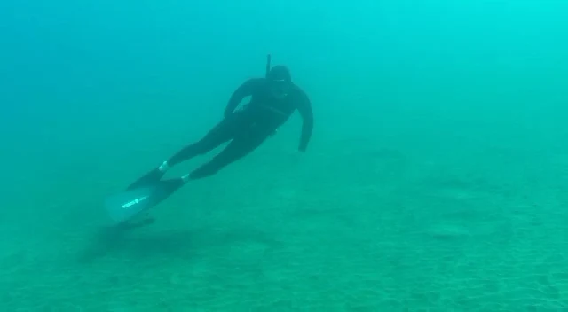 Freediving in Playa de las Américas photo 2