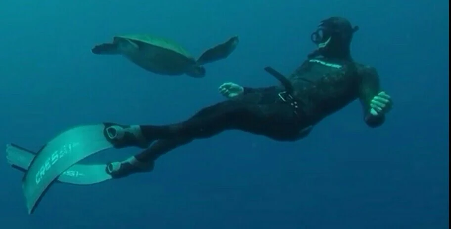 Freediving in Playa de las Américas photo 3
