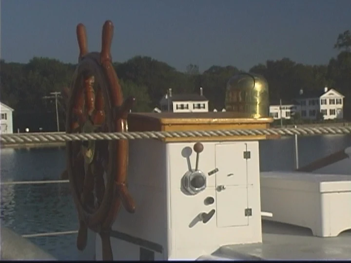Whale Watching CT photo 3