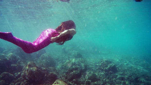 Diving & Snorkeling in San Juan photo 5