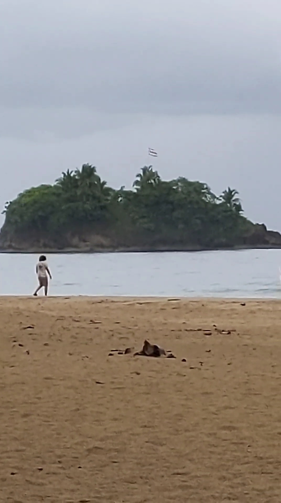 Surf Lessons in Talamanca photo 3