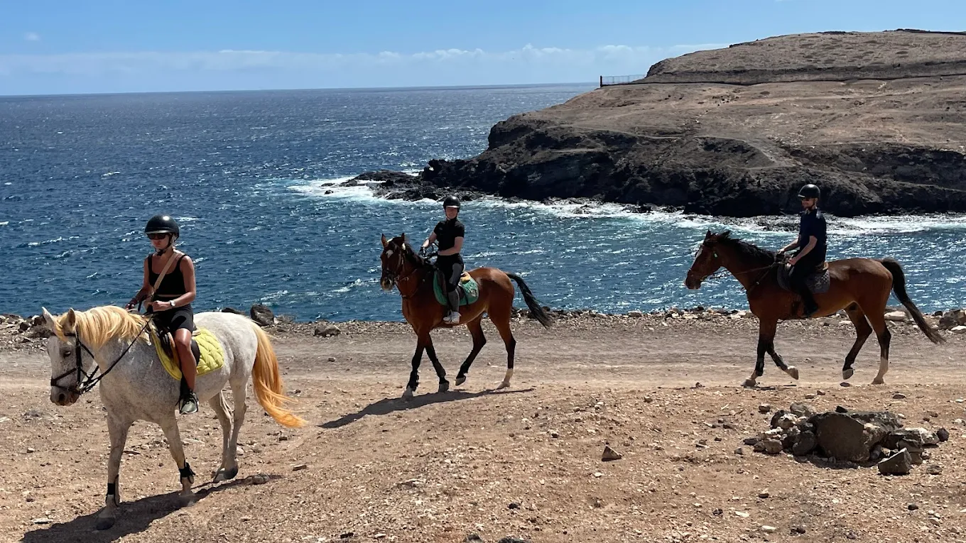 Horseback Meloneras photo 4