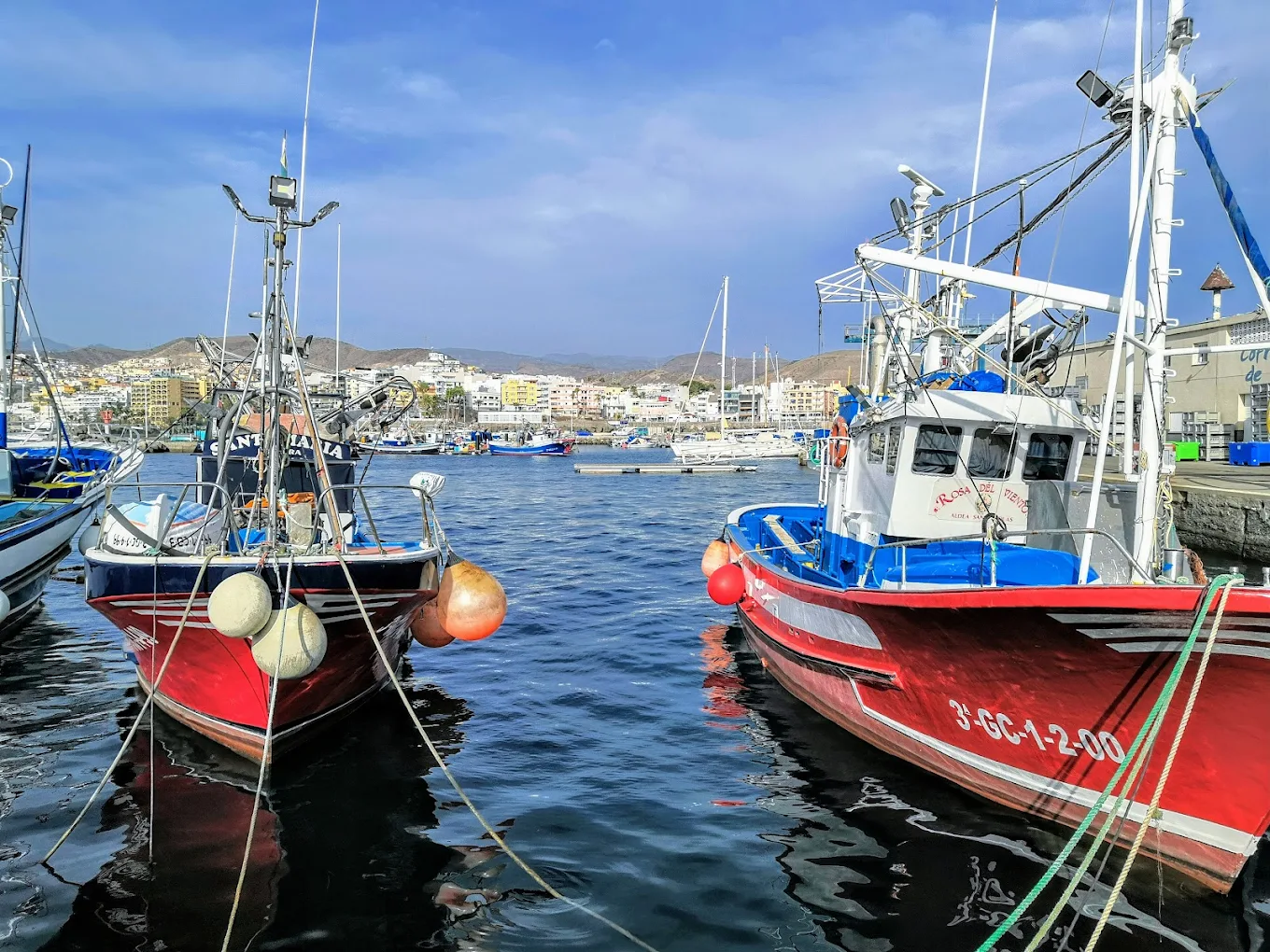 Fishing Arguineguín