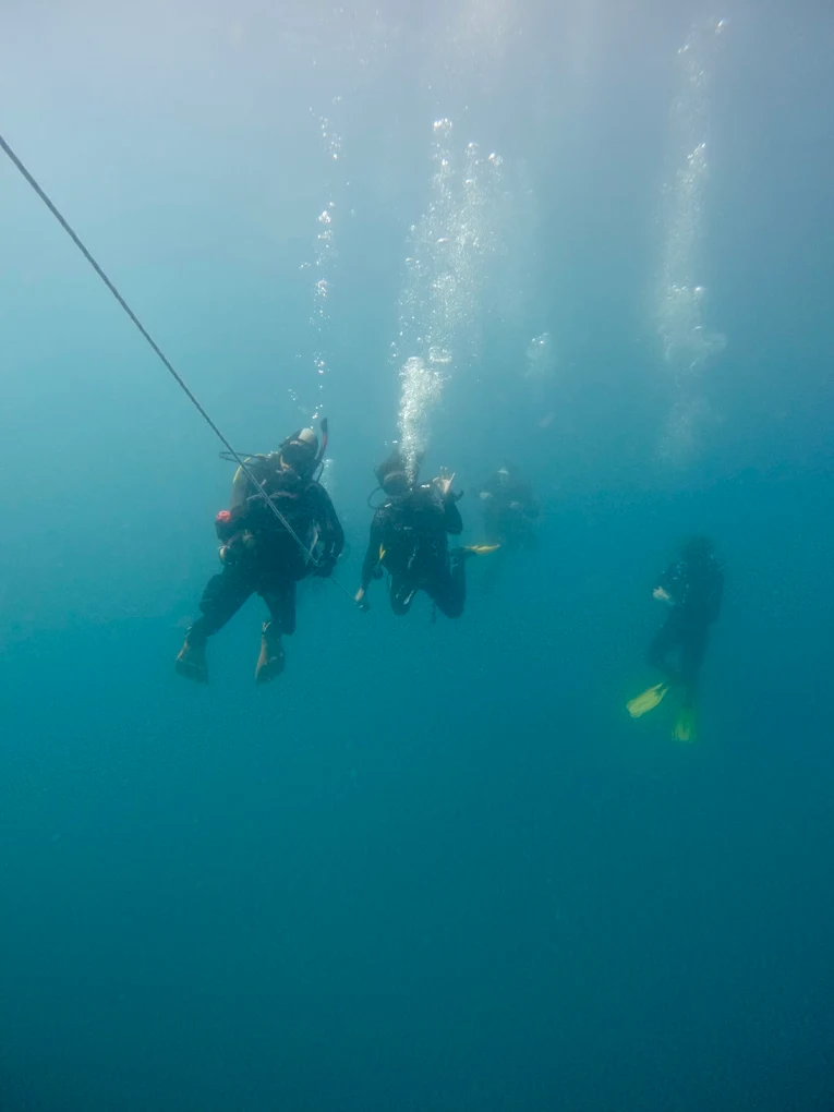 Diving Arguineguín