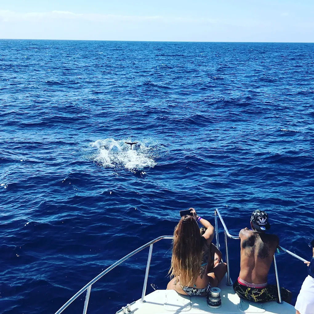 Sunset Cruise Agaete photo 4