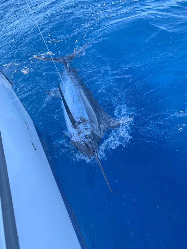 Fishing PR photo 5