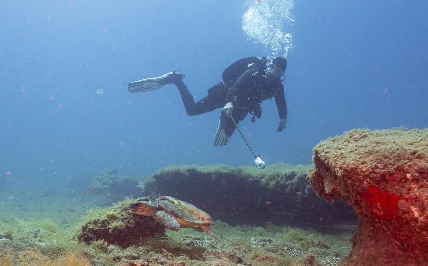 Scuba PI photo 4