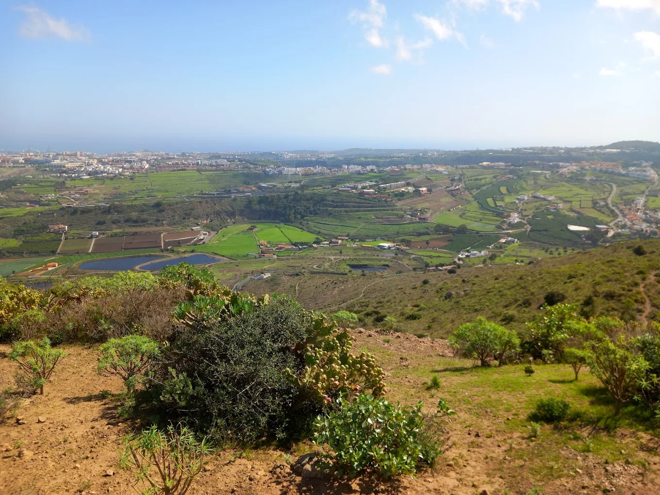 Hiking Teror photo 3