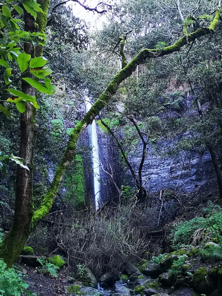 Hiking Teror photo 4