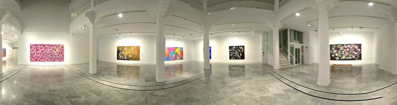 Art Gallery Tour Vegueta photo 3