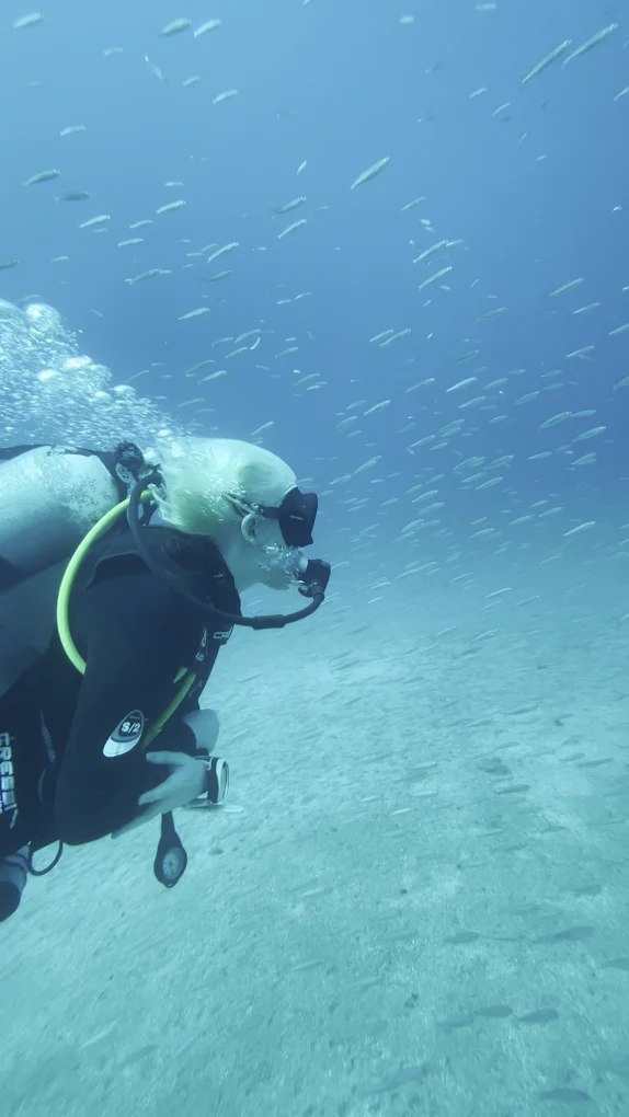 Diving Las Palmas photo 2