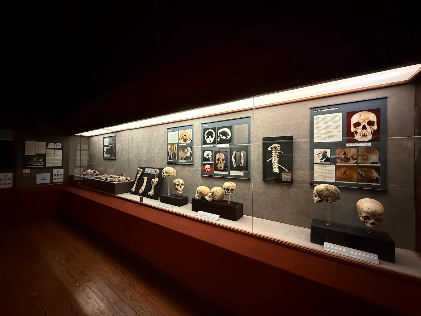 History Museum Vegueta