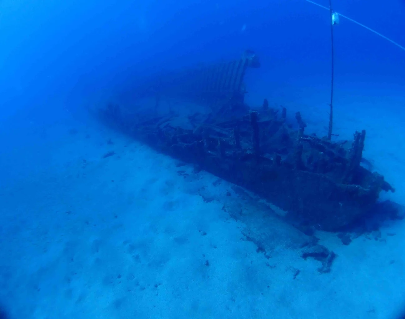 Diving PI photo 2