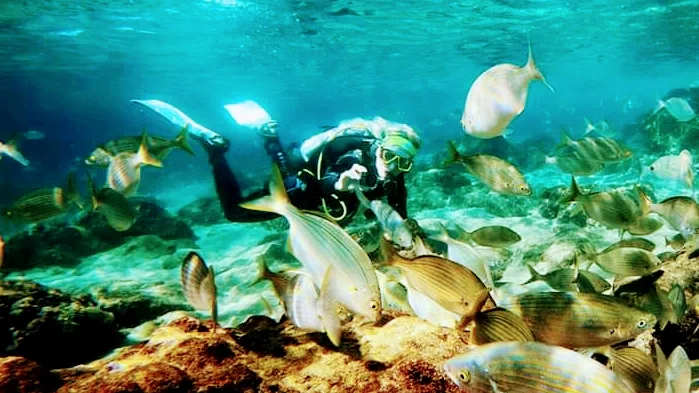 Diving PI photo 5