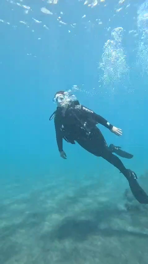 Snorkeling in Palma photo 3