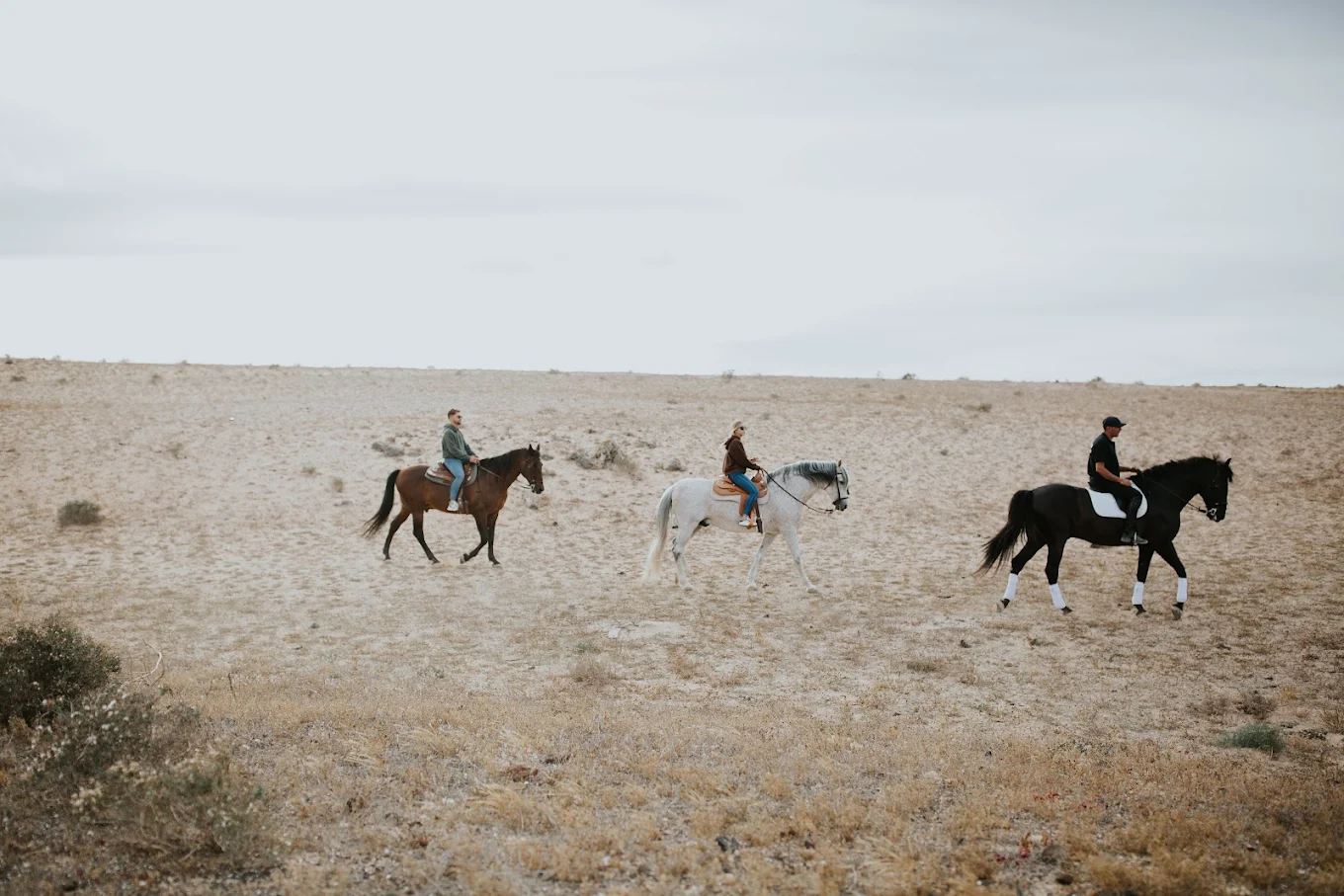 Horseback Riding Tías photo 2