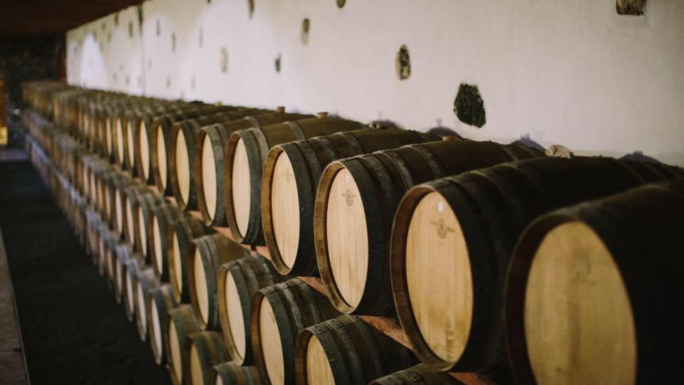 Yaiza Wine Route photo 5