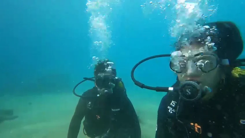 Diving PH photo 5