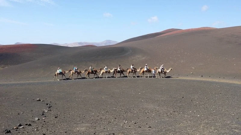 Volcano Tour Tías