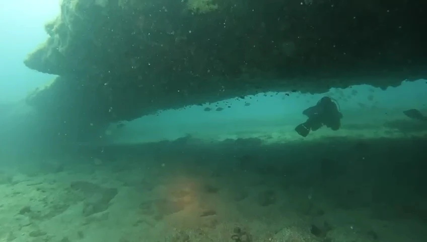 Corralejo Diving photo 2