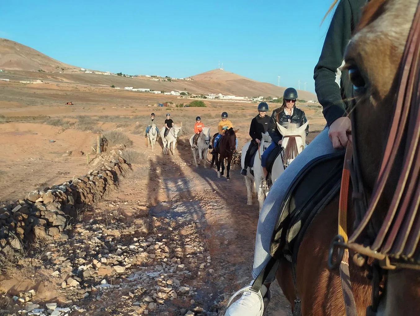 Horseback Riding in Corralejo