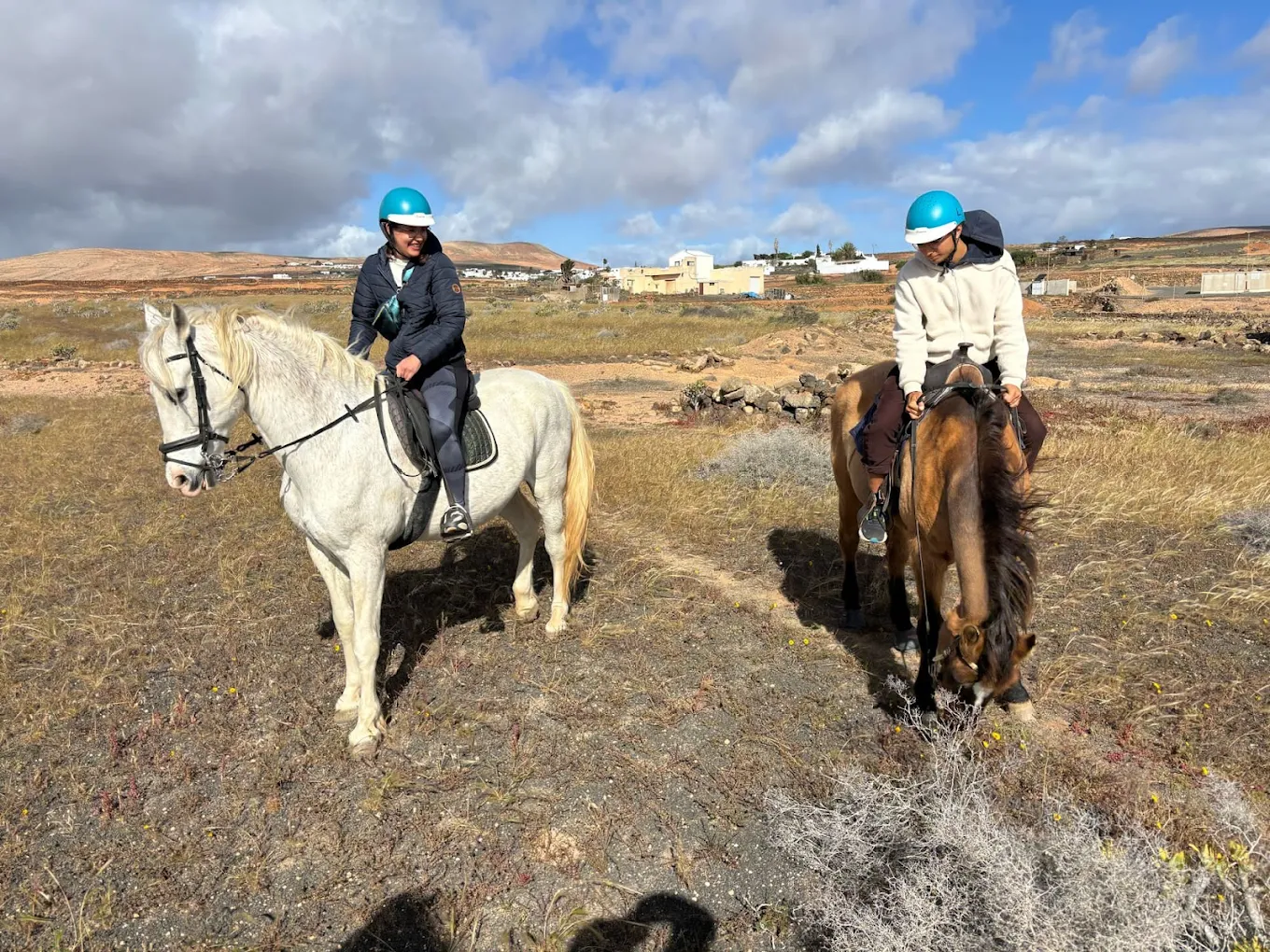 Horseback Macher photo 4