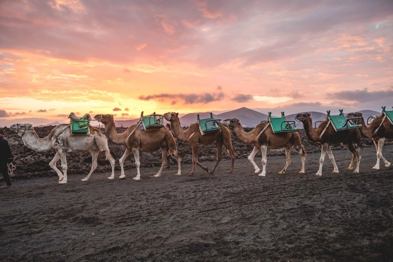 Camel Riding in Haría photo 5