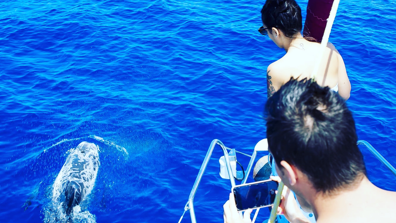 Parasailing in Morro Jable photo 2