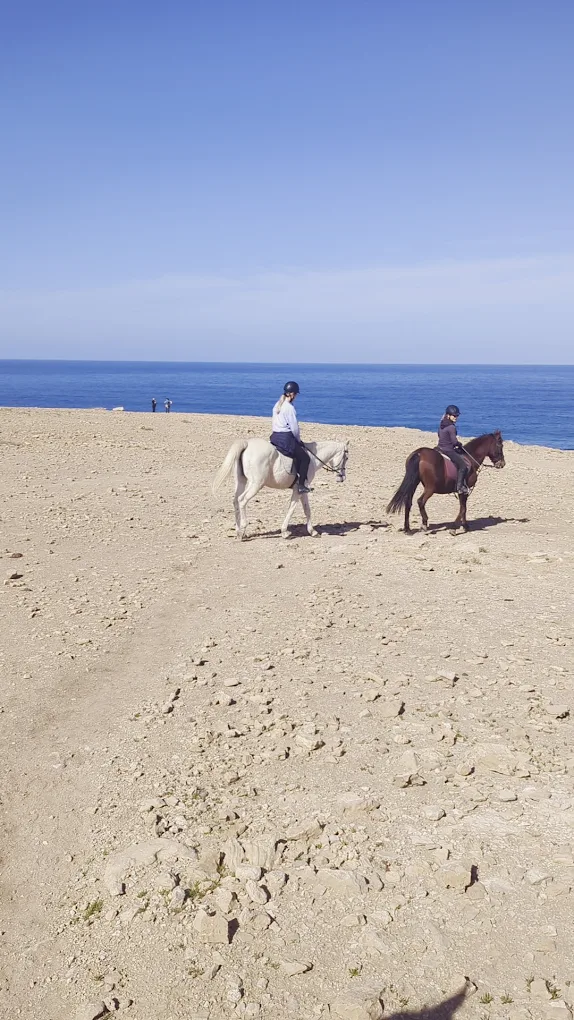 Horseback Riding Pájara photo 3