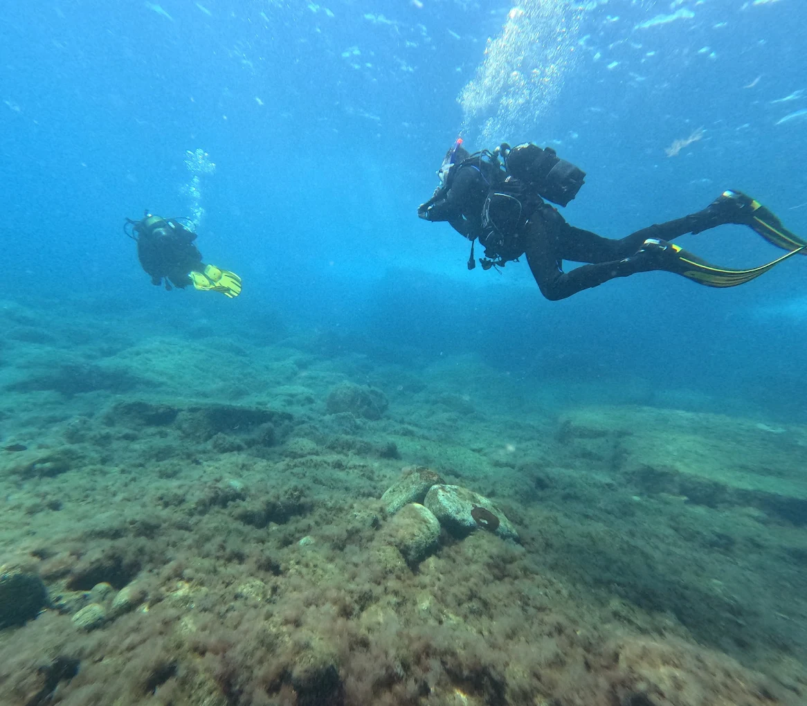 Diving La Lajita photo 3