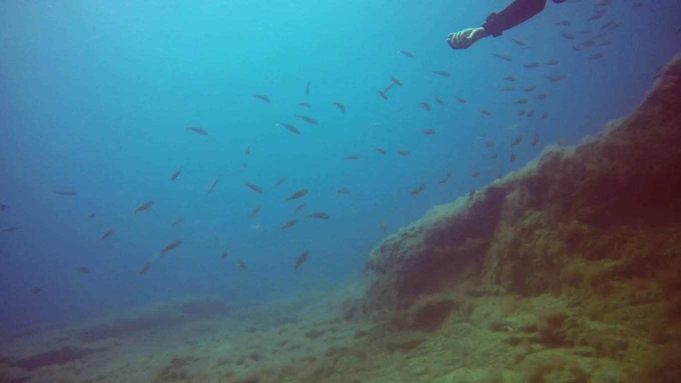 Diving Caleta photo 2