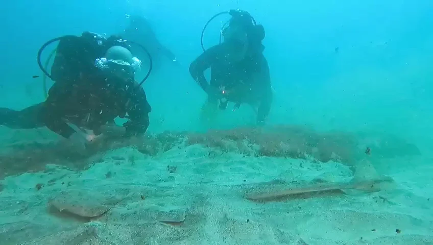 Diving Órzola photo 5