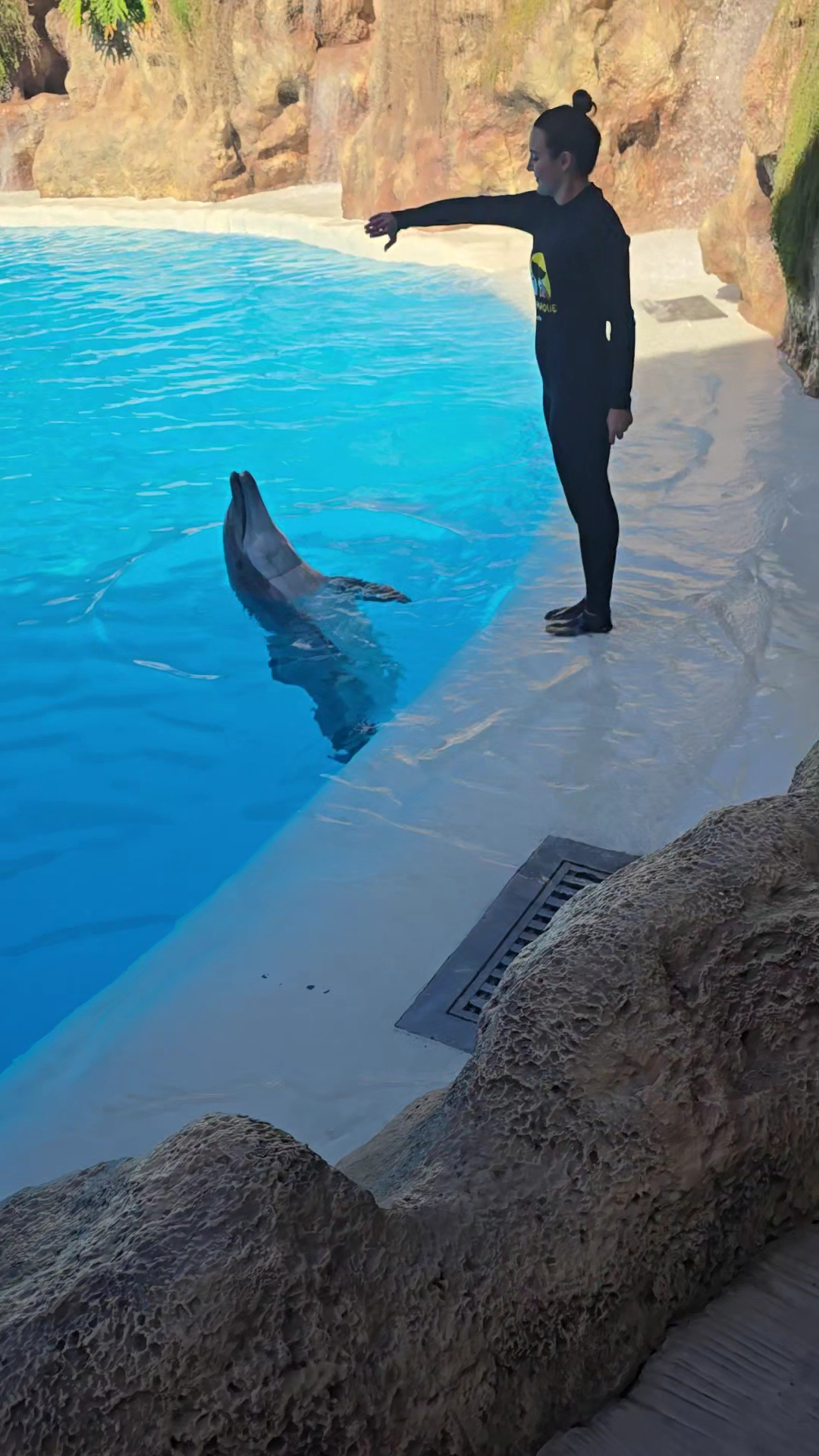 Dolphin Watching in San Juan photo 2