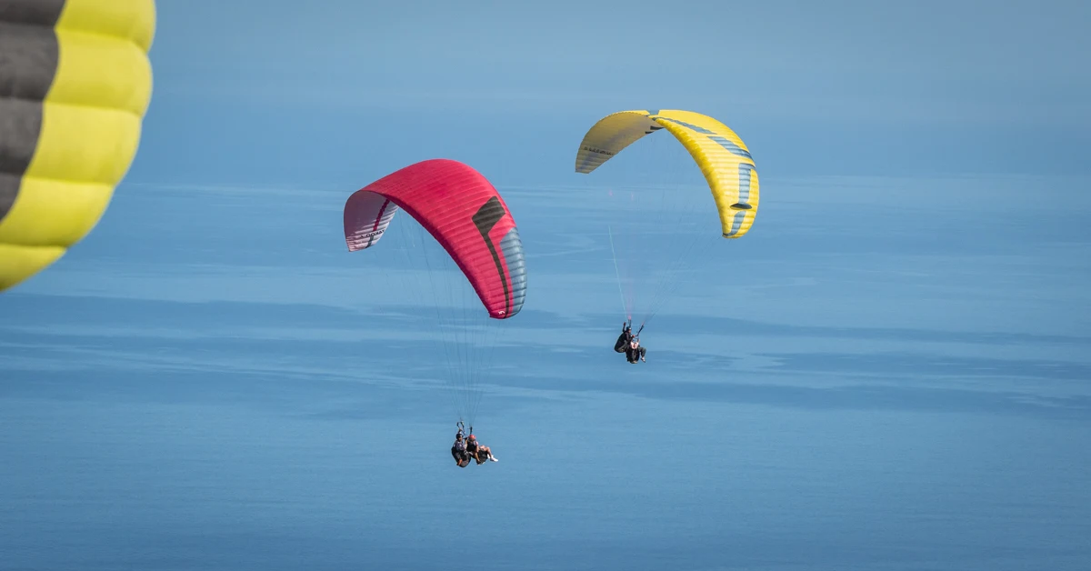 Paragliding in Playa de las Américas photo 4