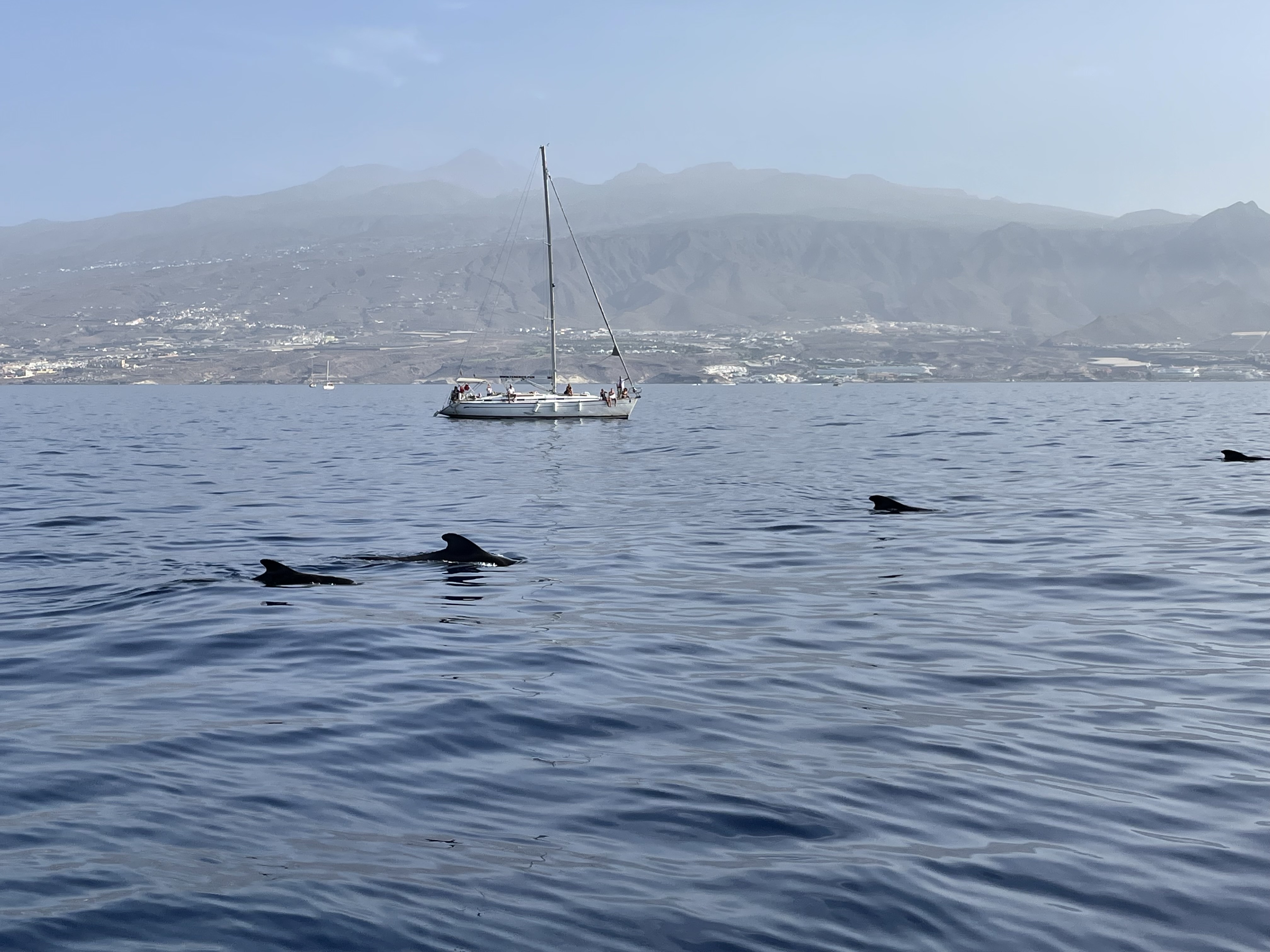 Sailing Excursion in El Pilar de la Mola photo 2